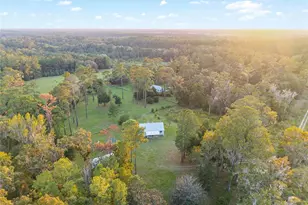 12719 NW 88th Pl, Alachua, FL 32615 - Photo 51