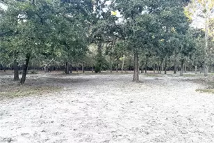 2329 NE 80th Ave, High Springs, FL 32643 - Photo 43