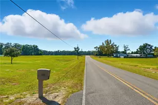 9870 SW 62nd Ct, Trenton, FL 32693 - Photo 33