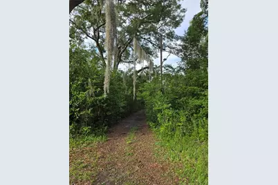 18566 NW 242nd Street, High Springs, FL 32643 - Photo 9