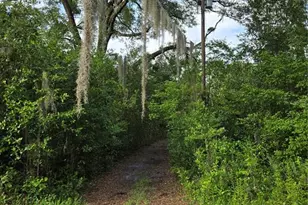 18566 NW 242nd St, High Springs, FL 32643 - Photo 9