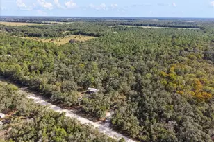 7639 NW 6th St, Bell, FL 32619 - Photo 37