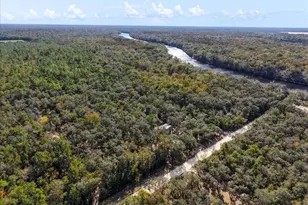 7639 NW 6th St, Bell, FL 32619 - Photo 35