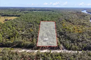 7639 NW 6th St, Bell, FL 32619 - Photo 31