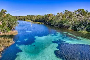 19715 SW 93rd Lane Rd, Dunnellon, FL 34432 - Photo 33