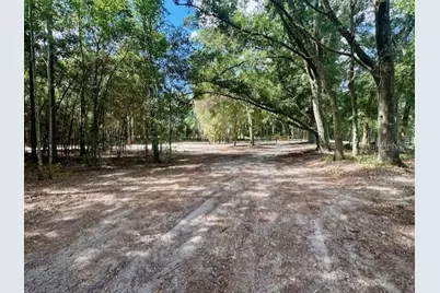 Sw 20th Street, Bell, FL 32619 - Photo 13