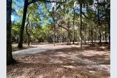 Sw 20th Street, Bell, FL 32619 - Photo 11