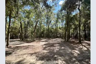 Sw 20th Street, Bell, FL 32619 - Photo 9