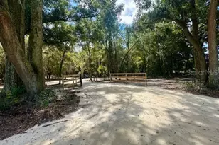 SW 20th St, Bell, FL 32619 - Photo 1