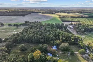 4654 NW 45th Ave, Bell, FL 32619 - Photo 39