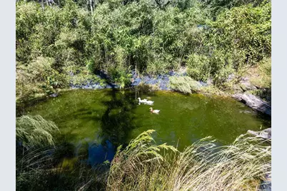 3039 113th Road, Live Oak, FL 32060 - Photo 35