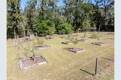 3039 113th Road, Live Oak, FL 32060 - Photo 43