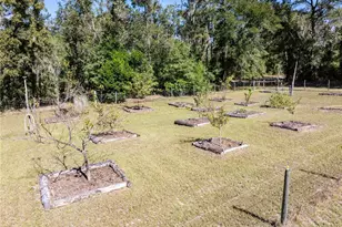 3039 113th Rd, Live Oak, FL 32060 - Photo 43