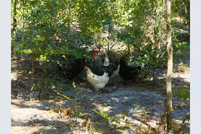 3039 113th Road, Live Oak, FL 32060 - Photo 37