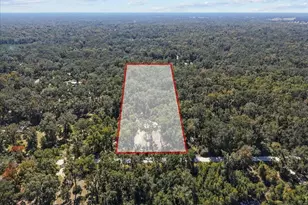 1566 NE 262nd Ave, Old Town, FL 32680 - Photo 29