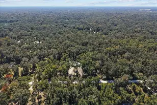 1566 NE 262nd Ave, Old Town, FL 32680 - Photo 31