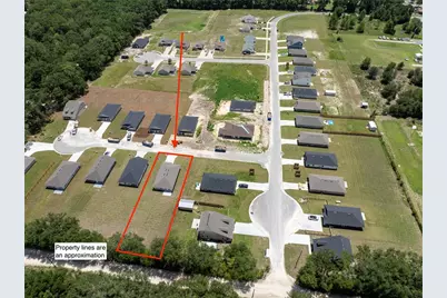 3318 E Iris Lane, Bell, FL 32619 - Photo 3