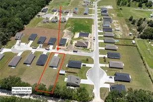 3318 E Iris Ln, Bell, FL 32619 - Photo 3