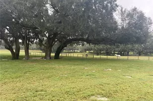 4107 SW State Rd 45, Newberry, FL 32669 - Photo 5