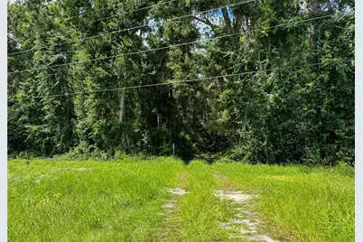 7906 SW County Road 346, Archer, FL 32618 - Photo 11