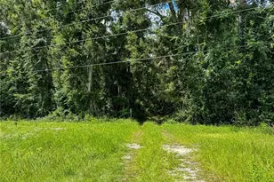 7906 SW County Rd 346, Archer, FL 32618 - Photo 11