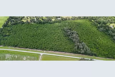 7906 SW County Road 346, Archer, FL 32618 - Photo 1