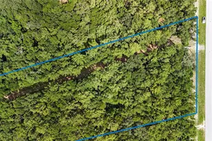 7906 SW County Rd 346, Archer, FL 32618 - Photo 7