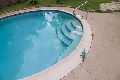 3442 Red Oak Circle E, Orange Park, FL 32073 - Photo 27