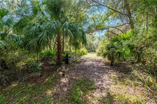 6550 SW 100 Ct, Cedar Key, Fl, FL 32625 - Photo 37