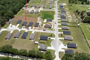 3291 E Iris Ln, Bell, FL 32619 - Photo 9