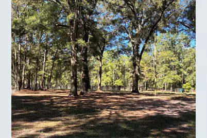 19582 NW 212th Street, High Springs, FL 32643 - Photo 23