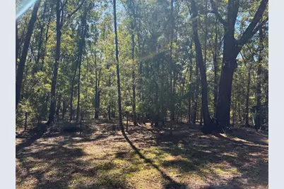 19582 NW 212th Street, High Springs, FL 32643 - Photo 21