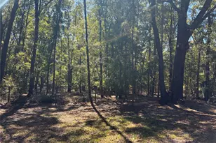 19582 NW 212th St, High Springs, FL 32643 - Photo 21