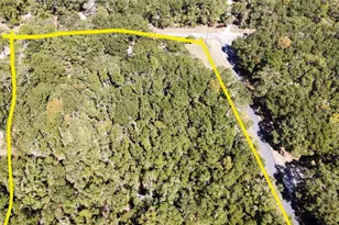 19582 NW 212th St, High Springs, FL 32643 - Photo 25