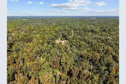 349 NE 414th Avenue, Old Town, FL 32680 - Photo 11