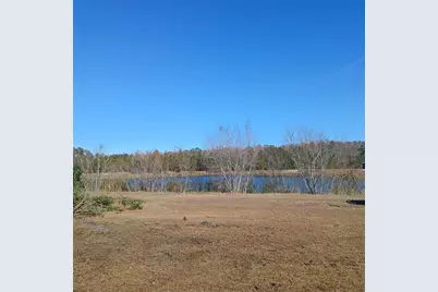 281 SW Silver Palm Drive, Lake City, FL 32024 - Photo 13