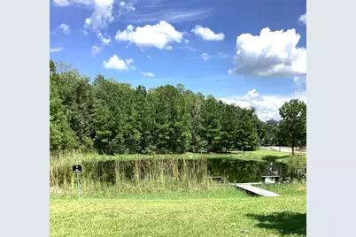 281 SW Silver Palm Drive, Lake City, FL 32024 - Photo 9