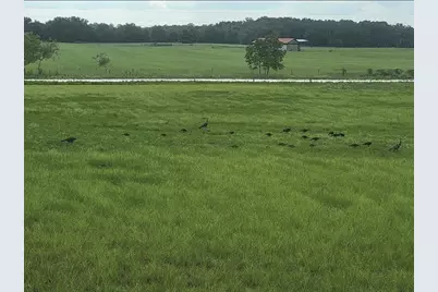 10020 NW 7th Terrace, Branford, FL 32008 - Photo 33