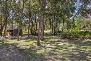 4951 NE 127th Ct, Williston, FL 32696 - Photo 37