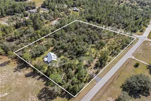 4951 NE 127th Ct, Williston, FL 32696 - Photo 41