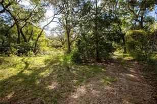 6639 Co Rd 214, Keystone Heights, FL 32656 - Photo 17