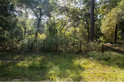 6639 County Road 214, Keystone Heights, FL 32656 - Photo 19