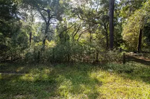 6639 Co Rd 214, Keystone Heights, FL 32656 - Photo 19