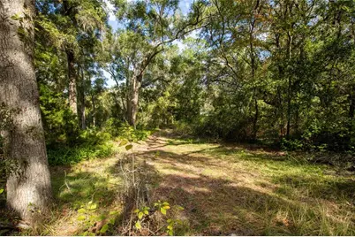 6639 County Road 214, Keystone Heights, FL 32656 - Photo 15