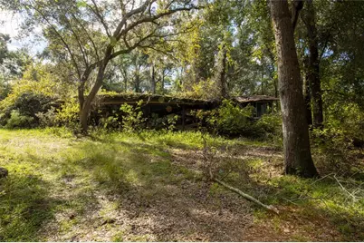 6639 County Road 214, Keystone Heights, FL 32656 - Photo 7