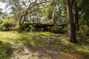 6639 Co Rd 214, Keystone Heights, FL 32656 - Photo 7