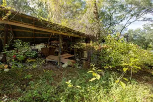 6639 Co Rd 214, Keystone Heights, FL 32656 - Photo 13