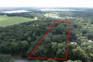 6639 Co Rd 214, Keystone Heights, FL 32656 - Photo 5