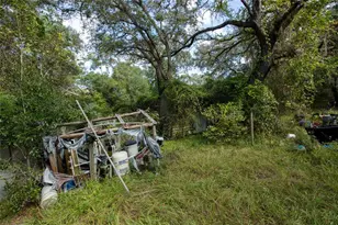 6639 Co Rd 214, Keystone Heights, FL 32656 - Photo 11