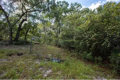 6639 County Road 214, Keystone Heights, FL 32656 - Photo 9